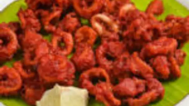 Squid 65