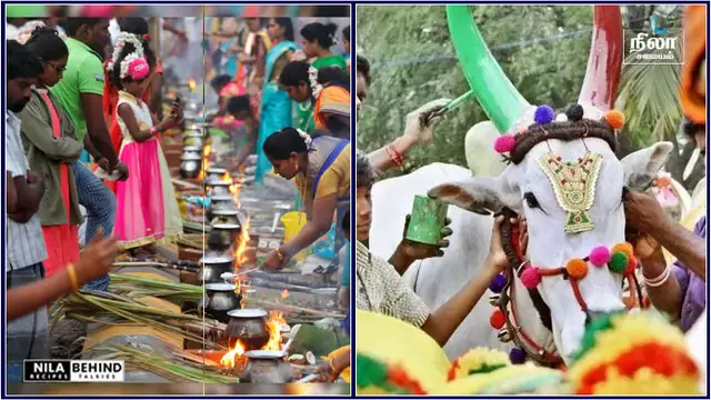 தமிழரின் பொங்கல் பண்டிகையை புராண கதைகளில் எப்படி சொல்கிறார்கள் தெரியுமா ?