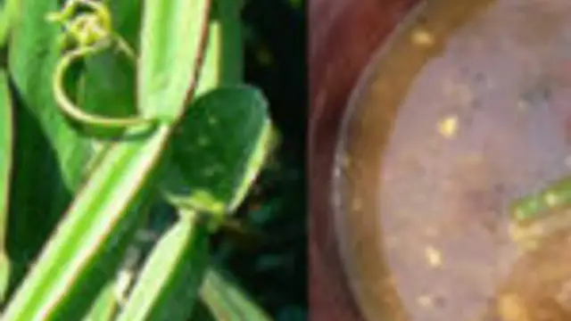 ருசியான பிரண்டை கடையல் செய்வது எப்படி? மூட்டு வலிக்கு சிறந்த மருந்து இது!!!
