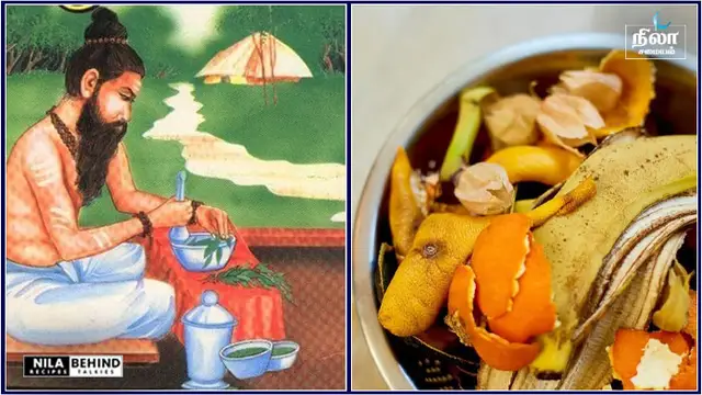சித்த மருத்துவம் நமக்கு போதித்த பழங்களின் தோலில் இருக்கும் மருத்து குணம்!