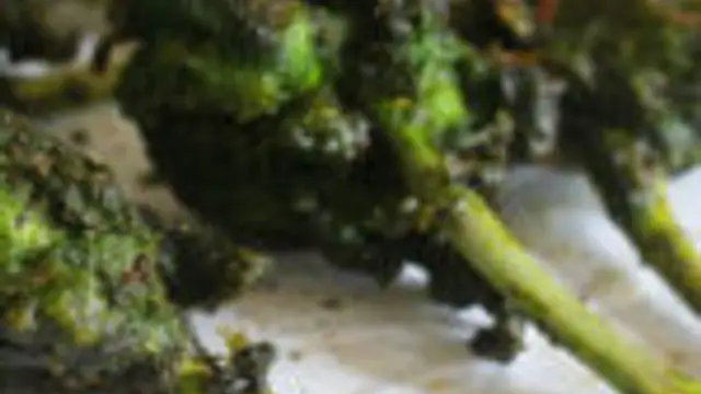 ஹரியாலி சிக்கன் ப்ரை இப்படி தான் செய்யணும்!