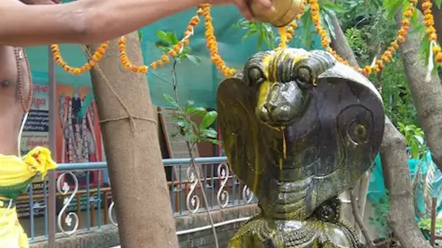 இந்த ஆண்டு நாக பஞ்சமி எப்போது? எந்த நேரத்தில் மற்றும் எப்படி வழிபட்டால் நாக தோஷம் நீங்கும்!
