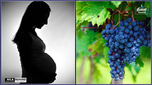 முதுமையை தடுத்து, கர்ப்பிணி பெண்களுக்கு உதவும் அற்புத மருத்துவ குணம் கொண்ட திராட்சை பழம்!