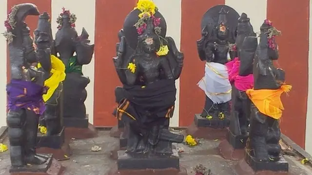 மகிழ்ச்சியோடு வாழ்வதற்கு வீட்டில் வளர்க்க வேண்டிய ஒரு செடி!