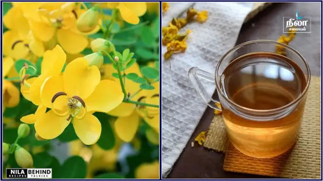 சர்க்கரை நோய் மற்றும் குழிப்புண்ணை குணமாக்கும் ஆவாரம்பூ!