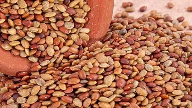 கடன் தீர்க்கக்கூடிய கொள்ளு பருப்பு!!