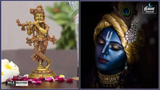கிருஷ்ணரின் இந்த பொருள் வீட்டில் இருந்தால் என்னென்ன அதிஷயம் நடக்கும் தெரியுமா ?