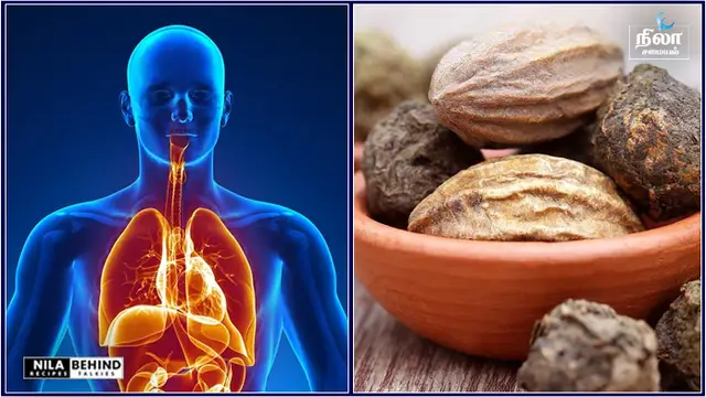 கழிவுகளை அகற்றி உடல்நலம் காக்கும் அரிய வகை மூலிகை!
