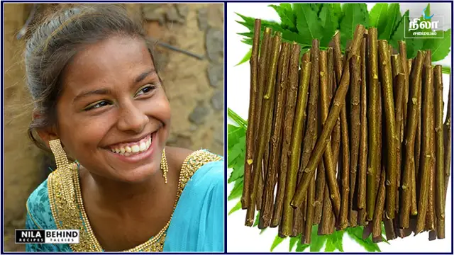 பற்களின் ஆரோக்கியம் காக்கும் அற்புத மூலிகை பொருட்கள் ஆலம் விழுது, கடுக்காய், நுணா காய்!