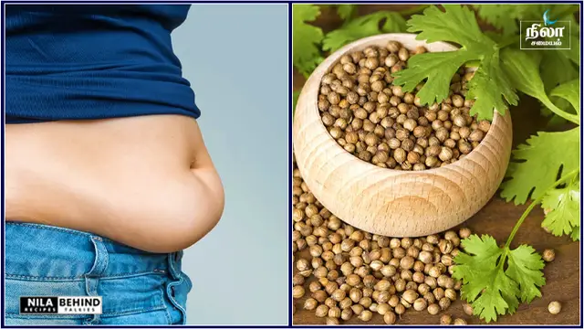 உடம்பில் உள்ள கெட்ட கொழுப்பை கரைக்கும் அற்புதமான மூலிகை விதை!