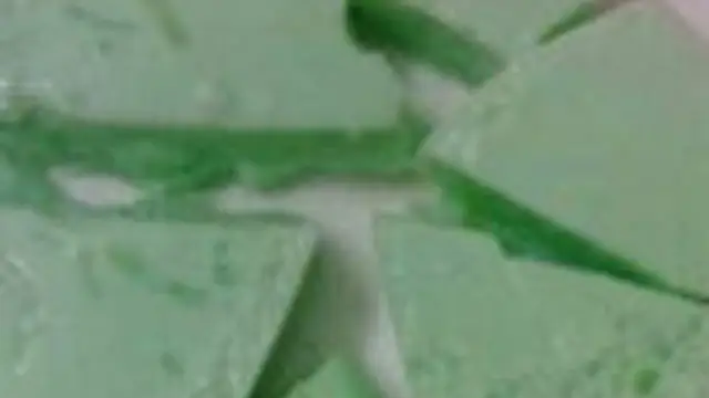 Kadal Pasai