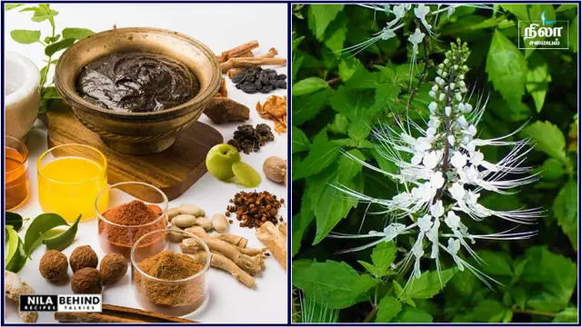 நம் உடலை ஆரோக்கியமாக வைத்து கொள்ள, பல பிரச்சனைகளுக்கு சித்த மருத்துவதின் அற்புத மூலிகை டீ!