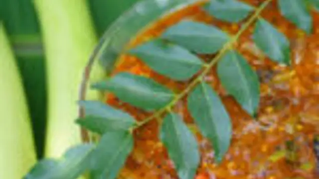 எவ்வளவு செய்தாலும் காலியாகும் ருசியான கேரளா கத்தரிக்காய் தொக்கு இப்படி செய்து பாருங்க!