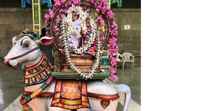 சிவனின் அருள் கிடைக்க பிரதோஷ நாளில் இப்படி வழிபடுங்கள்