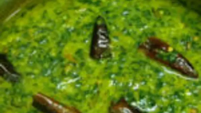 Manathakkali Keerai Kadai