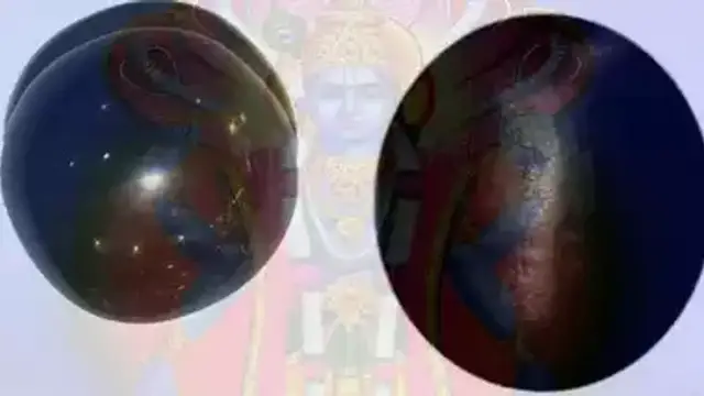 சாளக்கிராமம் வழிபடும் முறை மற்றும் அதன் பலன்கள்