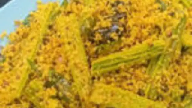 உங்கள் வீட்டில் முருங்கைக்காய் இருந்தால் அதை வைத்து சுவையான இந்த முருங்கைக்காய் தோரன் செய்து பாருங்கள்!!!