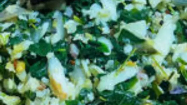 Nila Recipes Dobule 1 109