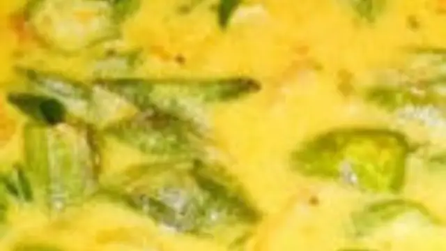 வெண்டைக்காய் பால்கறி இப்படி செஞ்சு பாருங்க, ஒரு குன்டான் சாதம் இருந்தாலும் பத்தாது!